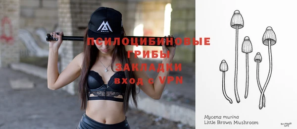 тгк Алексеевка