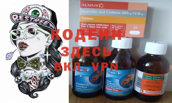 хмурый Алзамай