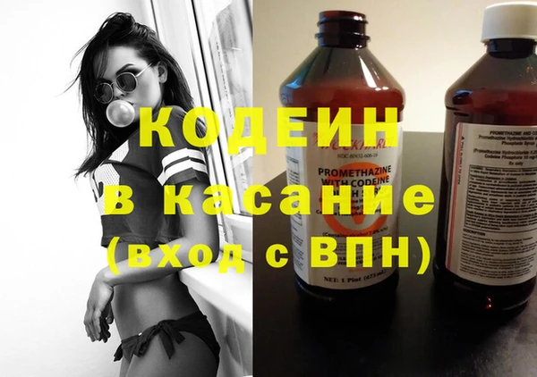 хмурый Алзамай