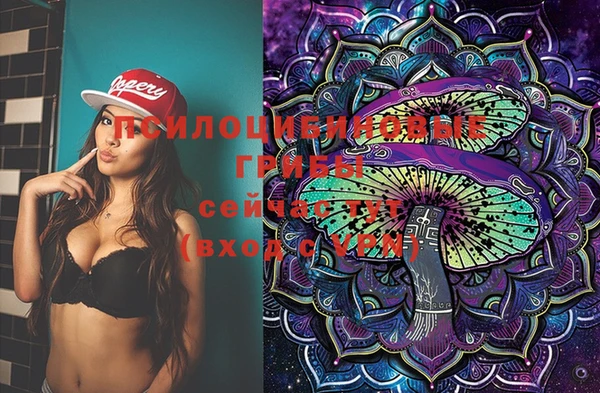 хмурый Алзамай