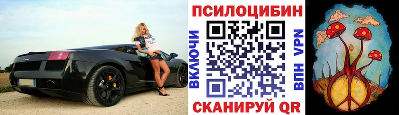blacksprut онион  Кинешма  Псилоцибиновые грибы Magic Shrooms 